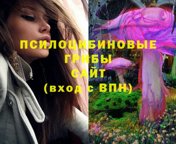 скорость Верхний Тагил