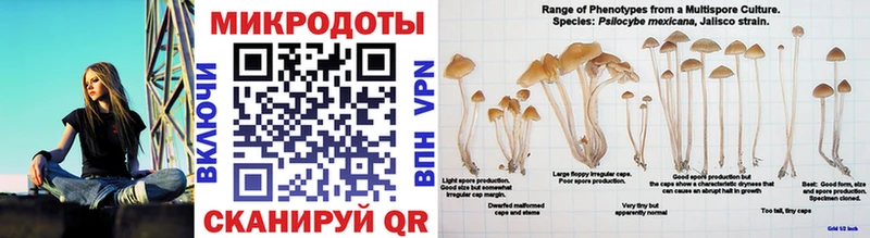 где продают   мега ТОР  Галлюциногенные грибы мухоморы  Цоци-Юрт 